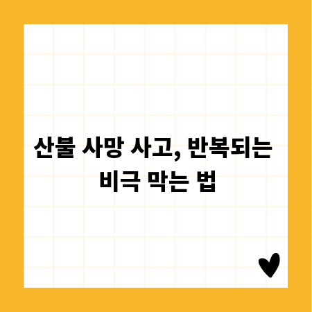 산불 사망 사고, 반복되는 비극 막는 법