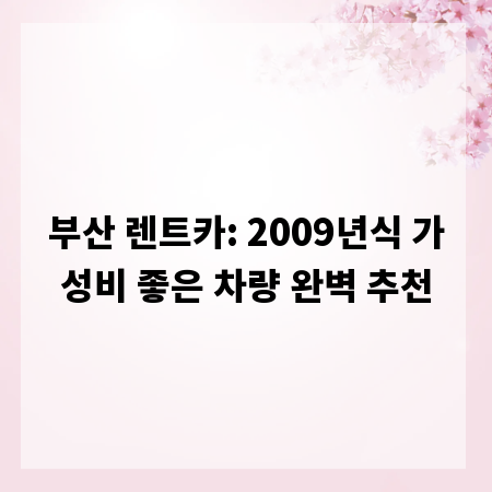 부산 렌트카: 2009년식 가성비 좋은 차량 완벽 추천