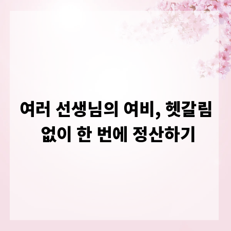 여러 선생님의 여비, 헷갈림 없이 한 번에 정산하기