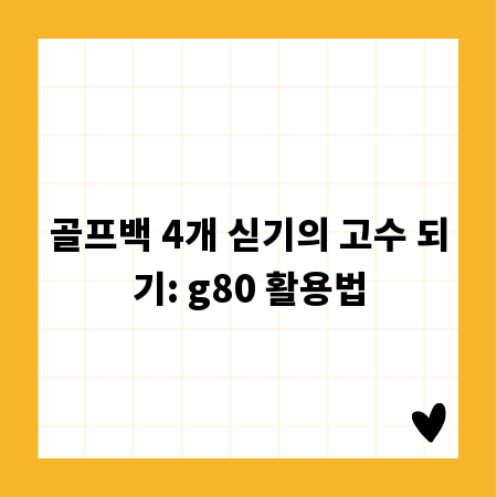 골프백 4개 싣기의 고수 되기: g80 활용법