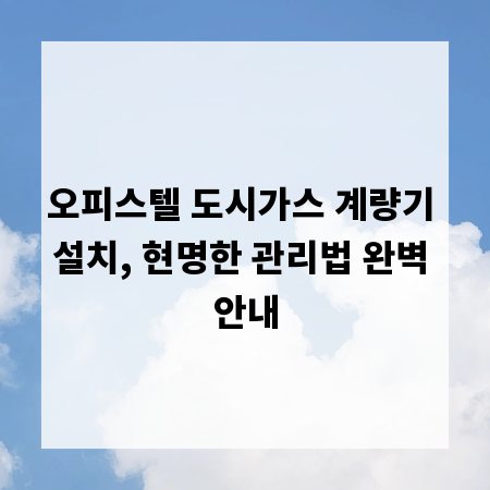 오피스텔 도시가스 계량기 설치, 현명한 관리법 완벽 안내