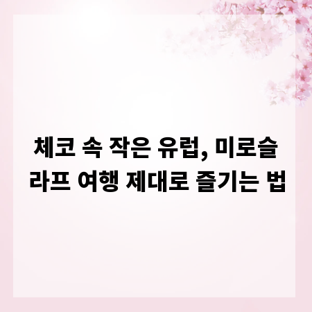 체코 속 작은 유럽, 미로슬라프 여행 제대로 즐기는 법