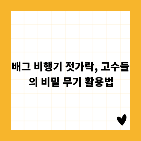 배그 비행기 젓가락, 고수들의 비밀 무기 활용법