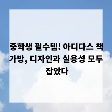 중학생 필수템! 아디다스 책가방, 디자인과 실용성 모두 잡았다