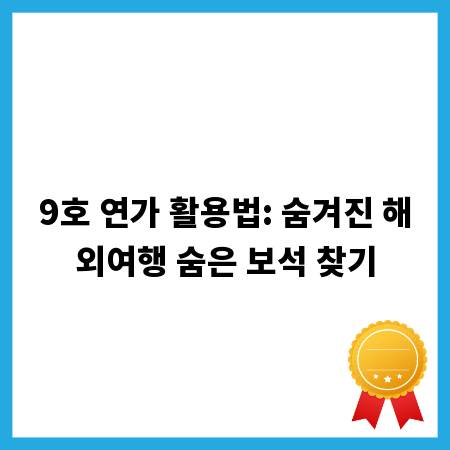 9호 연가 활용법: 숨겨진 해외여행 숨은 보석 찾기