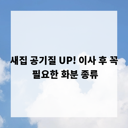 새집 공기질 UP! 이사 후 꼭 필요한 화분 종류