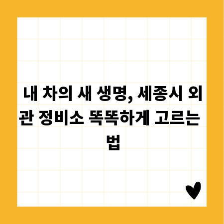 내 차의 새 생명, 세종시 외관 정비소 똑똑하게 고르는 법