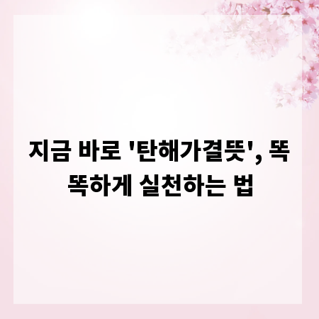 지금 바로 '탄해가결뜻', 똑똑하게 실천하는 법