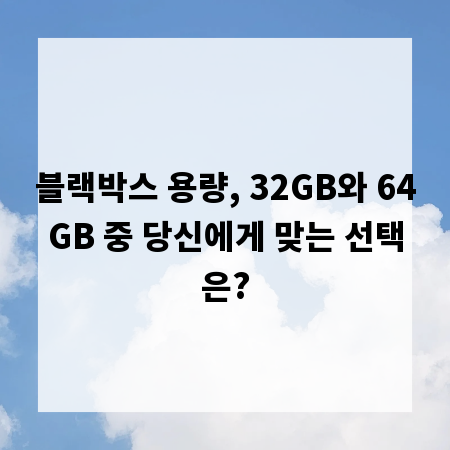 블랙박스 용량, 32GB와 64GB 중 당신에게 맞는 선택은?