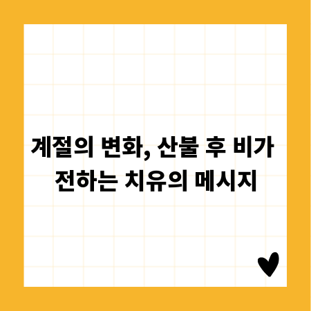 계절의 변화, 산불 후 비가 전하는 치유의 메시지