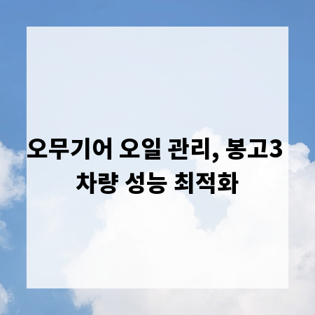 오무기어 오일 관리, 봉고3 차량 성능 최적화