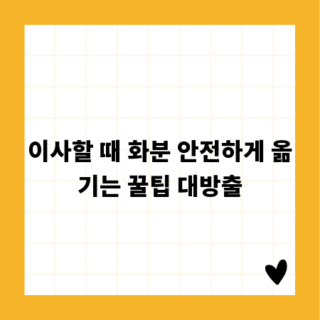 이사할 때 화분 안전하게 옮기는 꿀팁 대방출