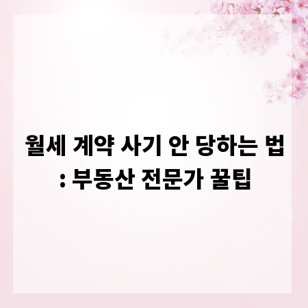 월세 계약 사기 안 당하는 법: 부동산 전문가 꿀팁