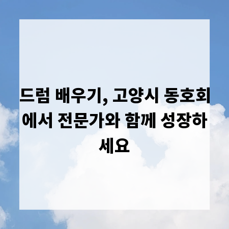 드럼 배우기, 고양시 동호회에서 전문가와 함께 성장하세요