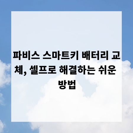 파비스 스마트키 배터리 교체, 셀프로 해결하는 쉬운 방법