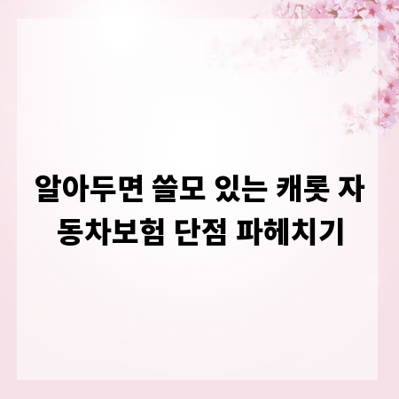 알아두면 쓸모 있는 캐롯 자동차보험 단점 파헤치기