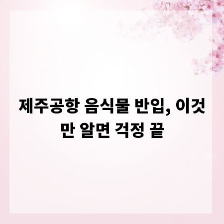 제주공항 음식물 반입, 이것만 알면 걱정 끝