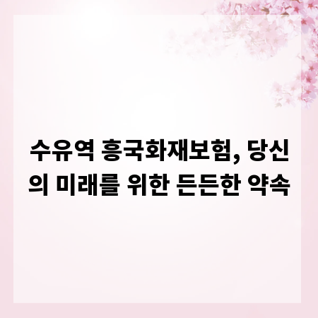 수유역 흥국화재보험, 당신의 미래를 위한 든든한 약속