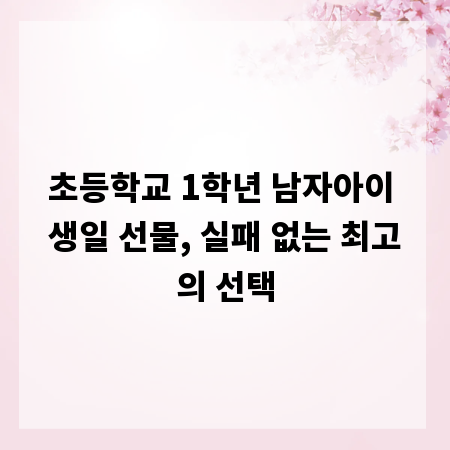 초등학교 1학년 남자아이 생일 선물, 실패 없는 최고의 선택