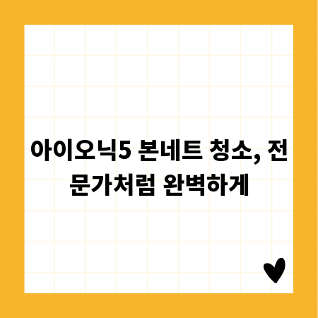 아이오닉5 본네트 청소, 전문가처럼 완벽하게