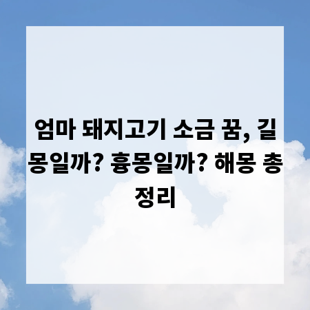 엄마 돼지고기 소금 꿈, 길몽일까? 흉몽일까? 해몽 총정리