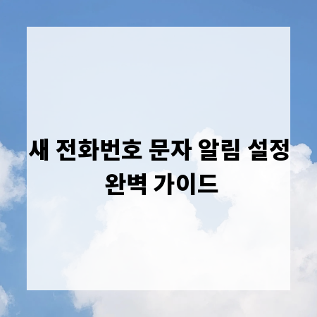 새 전화번호 문자 알림 설정 완벽 가이드