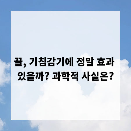 꿀, 기침감기에 정말 효과 있을까? 과학적 사실은?
