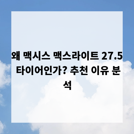 왜 맥시스 맥스라이트 27.5 타이어인가? 추천 이유 분석