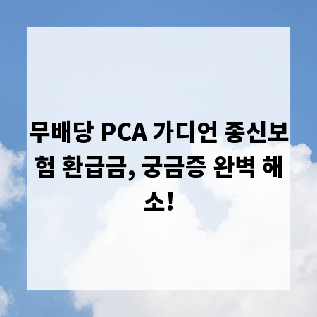 무배당 PCA 가디언 종신보험 환급금, 궁금증 완벽 해소!