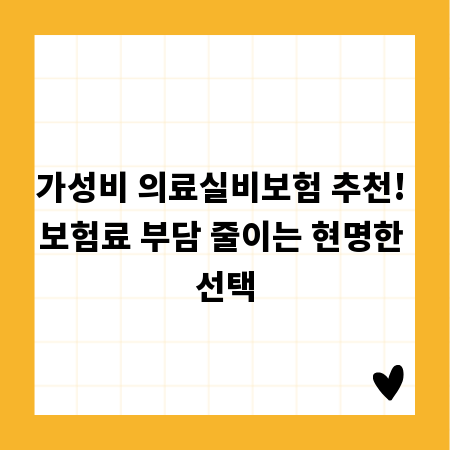 가성비 의료실비보험 추천! 보험료 부담 줄이는 현명한 선택