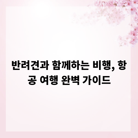 반려견과 함께하는 비행, 항공 여행 완벽 가이드