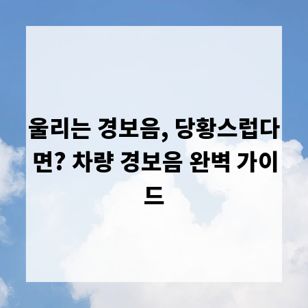 울리는 경보음, 당황스럽다면? 차량 경보음 완벽 가이드