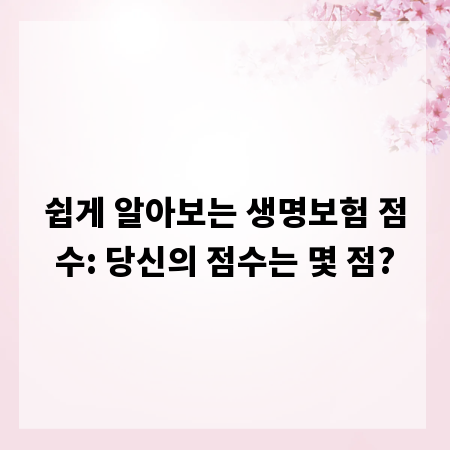 쉽게 알아보는 생명보험 점수: 당신의 점수는 몇 점?