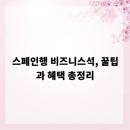 스페인행 비즈니스석, 꿀팁과 혜택 총정리