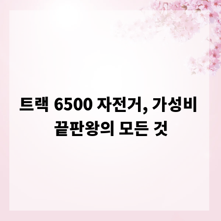 트랙 6500 자전거, 가성비 끝판왕의 모든 것