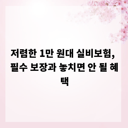 저렴한 1만 원대 실비보험, 필수 보장과 놓치면 안 될 혜택