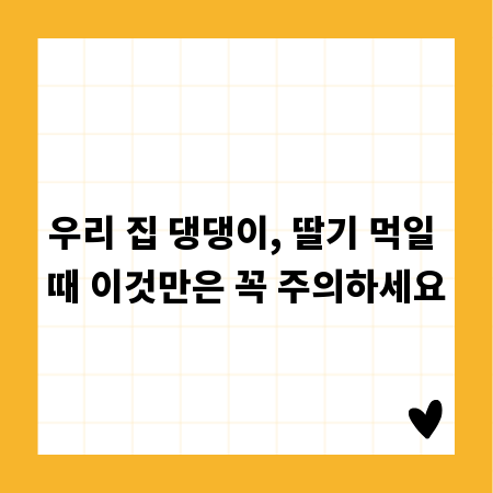 우리 집 댕댕이, 딸기 먹일 때 이것만은 꼭 주의하세요