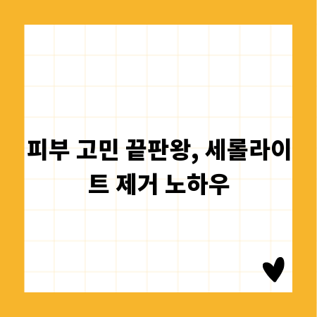피부 고민 끝판왕, 세롤라이트 제거 노하우