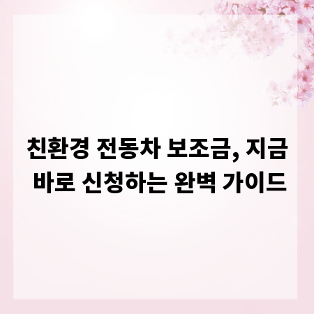 친환경 전동차 보조금, 지금 바로 신청하는 완벽 가이드
