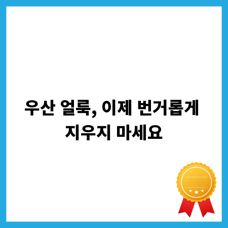 우산 얼룩, 이제 번거롭게 지우지 마세요