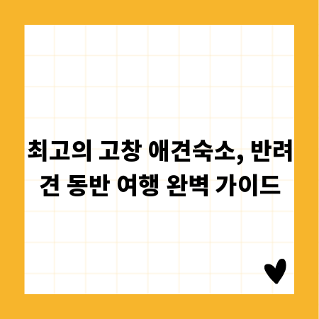 최고의 고창 애견숙소, 반려견 동반 여행 완벽 가이드