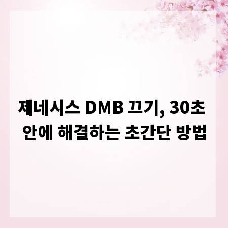 제네시스 DMB 끄기, 30초 안에 해결하는 초간단 방법