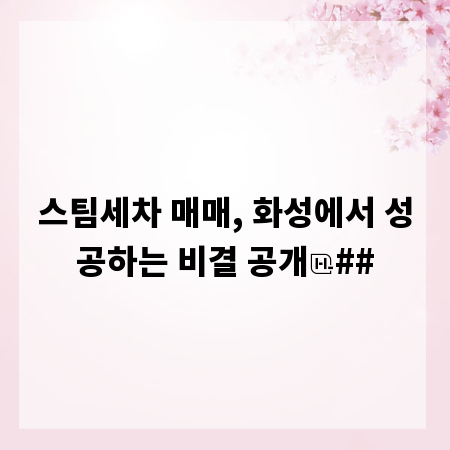 스팀세차 매매, 화성에서 성공하는 비결 공개
##
