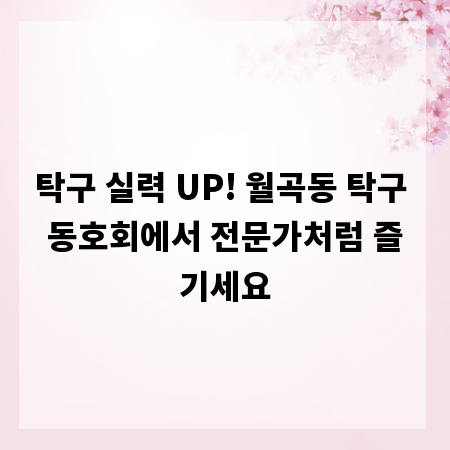 탁구 실력 UP! 월곡동 탁구 동호회에서 전문가처럼 즐기세요