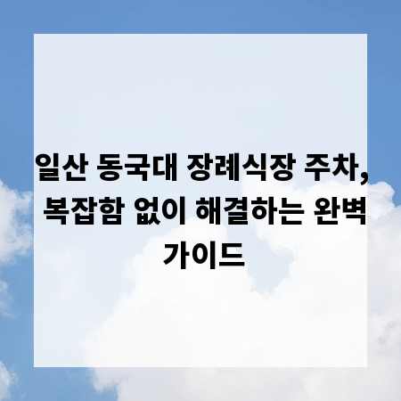 일산 동국대 장례식장 주차, 복잡함 없이 해결하는 완벽 가이드