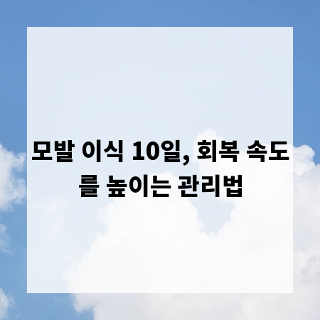 모발 이식 10일, 회복 속도를 높이는 관리법