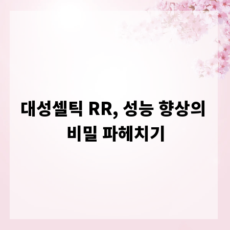 대성셀틱 RR, 성능 향상의 비밀 파헤치기