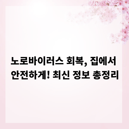 노로바이러스 회복, 집에서 안전하게! 최신 정보 총정리