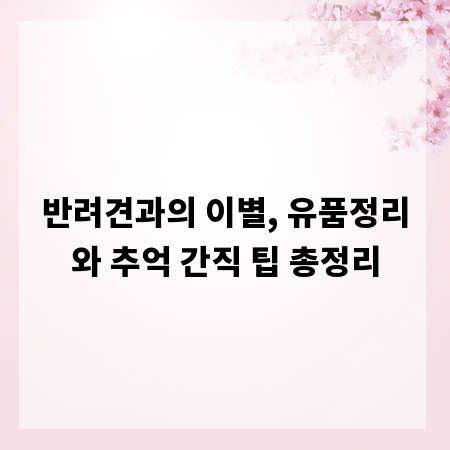 반려견과의 이별, 유품정리와 추억 간직 팁 총정리