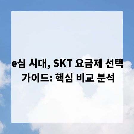 e심 시대, SKT 요금제 선택 가이드: 핵심 비교 분석